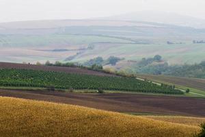 Autumn Landscape  in a Moravian Fields photo