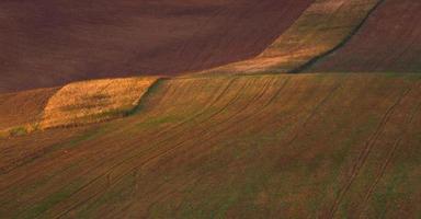 Autumn Landscape  in a Moravian Fields photo