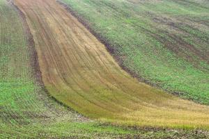 paisaje otoñal en los campos de moravia foto