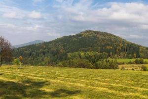 paisaje otoñal con hojas amarillas en un día soleado foto