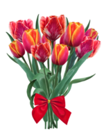 bouquet of red tulips tied with red satin bow illustration png
