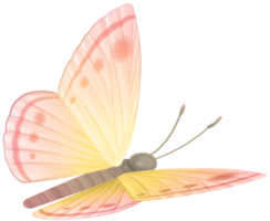 Butterfly with big blue png