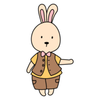 Rabbit character in cute costume, Rabbit Cartoon animal character, hand drawn illustration png