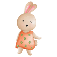 Rabbit character in cute costume, Rabbit Cartoon animal character, Watercolor hand drawn png