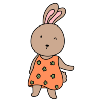 Rabbit character in cute costume, Rabbit Cartoon animal character, hand drawn illustration png