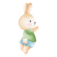 Rabbit character in cute costume, Rabbit Cartoon animal character, Watercolor hand drawn png