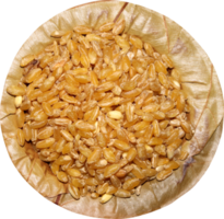 grains de blé sur une assiette de feuilles d'arbre sal. png