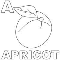 Apricot coloring page, with a capital A to introduce children to letters. Suitable for children's coloring books and letter recognition through pictures of apricots. Editable vectors