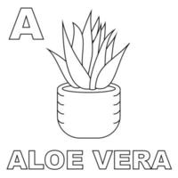 Aloe vera plant coloring page, with a capital A to introduce letters to children. Suitable for children's coloring books and letter recognition through pictures of aloe vera plants. Editable vectors