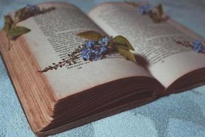 Tiny Purple Flowers In Old Vintage Book photo