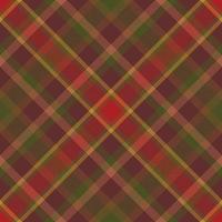 Plaid pattern vector. Check fabric texture. Seamless textile design for clothes, paper print. vector