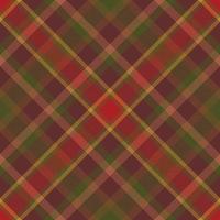 Plaid pattern vector. Check fabric texture. Seamless textile design for clothes, paper print. vector