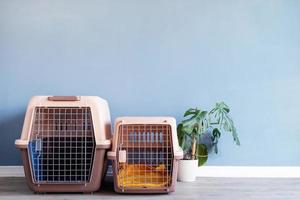 Plastic pet carrier or pet cage and yellow suitcase on the floor at home, copy space photo