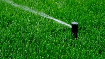 Automatic garden irrigation system watering lawn. Savings of water from sprinkler irrigation system with adjustable head. Automation for lawn irrigation, gardening, soccer fields or golf courses. photo