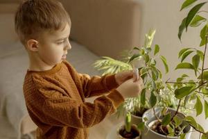 Adorable, cute boy caring of indoor plants at home. A little helper in the household, leisure activity. Child wipes dust from leaves. Home gardening concept. Cozy room, earth colors. Casual clothing. photo