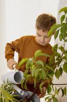 Adorable, cute boy caring of indoor plants at home. A little helper in the household, leisure activity. Child watering plants. Home gardening concept. Cozy room, earth colors. Casual clothing. photo