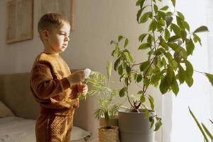 Adorable, cute boy caring of indoor plants at home. A little helper in the household, leisure activity. Child wipes dust from leaves. Home gardening concept. Cozy room, earth colors. Casual clothing. photo