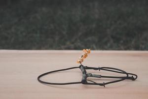 Bird eye view of trap on the wooden background, rat and animal trap photo