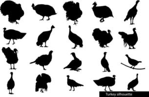 turkey poultry silhouette set vector