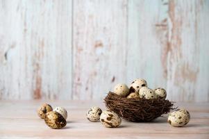 Fresh quail eggs. Rustic style on wood background. Easter banner with place for text photo