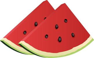 watermelon slice in isolated vector