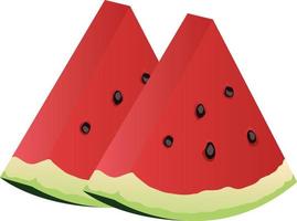 red watermelon slice in isolated vector