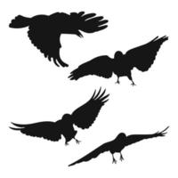 conjunto de vectores cuervo, cuervo, vuelo de corvus, diferentes paquetes de siluetas de aves dibujadas a mano, vector aislado