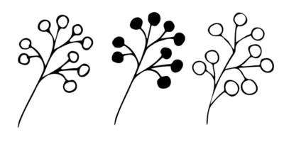 berries on a branch hand-drawn vector