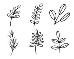 a set of twigs vector