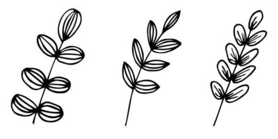 twigs drawn by hand vector