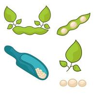 A set of different soybeans. The world of legumes. vector