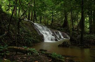 Scene of beautiful waterfall in forest park photo