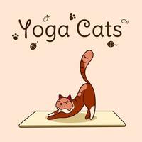 día internacional del yoga. yoga de gatos pose de yoga y ejercicio. Ilustración dibujada a mano de vector plano colorido.