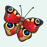 Realistic colorful butterfly  vector pro illustration