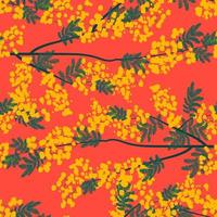 Botanical seamless pattern with yellow mimosa flowers and leaves on a white background. Background with elegant flowering plants. Vector illustration