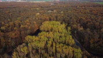 Aerial view - backwards of autumn forest and river video