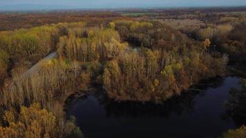 Aerial view of autumn forest with bridge and lake video
