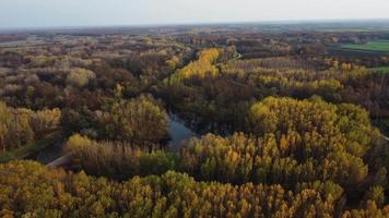 Aerial orbiting view of autumn forest and river video