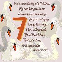 The twelve days of Christmas. Seventh day. Seven swans-a-swimming. vector