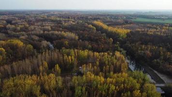 Aerial side view of autumn forest and bridge over river video