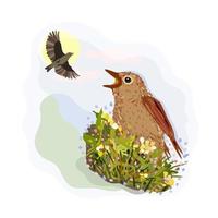 Vector isolated illustration of singing nightingale.