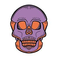 Colorful skull for the day of the dead, vector illustration