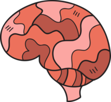 Hand Drawn brain illustration png