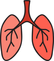 ilustración de pulmones dibujados a mano png