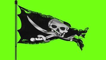 Jolly Roger-Flagge animiert auf einem grünen Bildschirm video