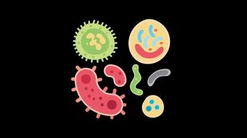 bacteria icon animation with black png background. science and math. with alpha channel and perfect for your explainner content video