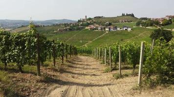wijngaard landbouw in barbaresco asti antenne visie, wijn productie in langhe monferrato, Piemonte video