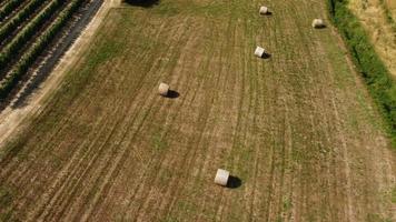 Hay Bales in Farm Agriculture Field at Summer video