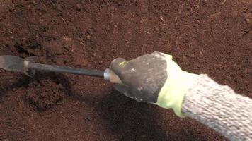 Bauer bereitet Bodenfeld vor und hackt den Boden für den ökologischen Landbau. Gartenarbeit mit der Kelle in der Hacke video