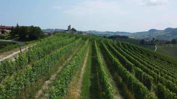 vista aérea de serralunga d'alba y viñedos en langhe, piamonte video